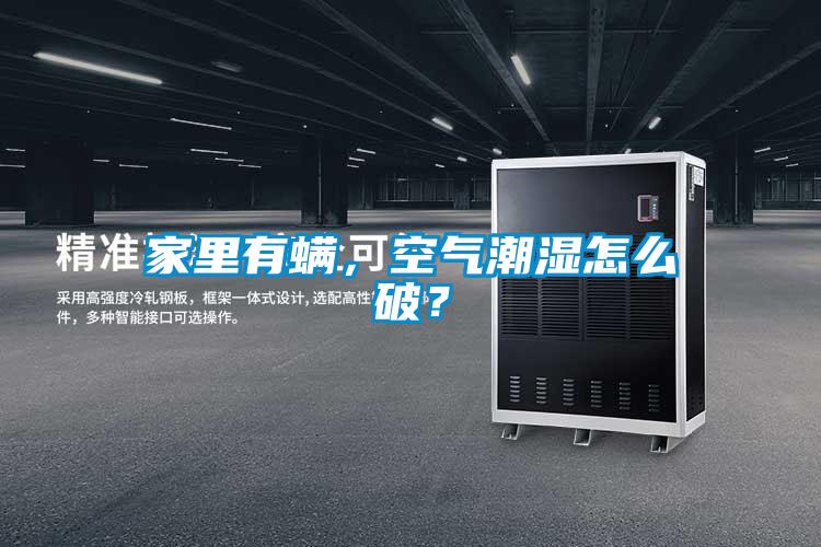 家里有螨，空氣潮濕怎么破？