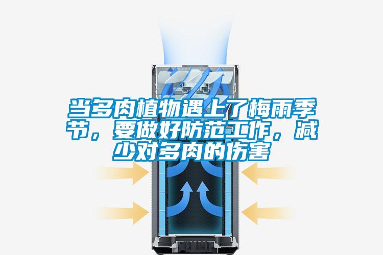 當(dāng)多肉植物遇上了梅雨季節(jié)，要做好防范工作，減少對多肉的傷害