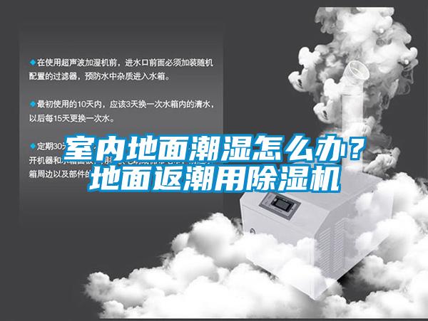 室內(nèi)地面潮濕怎么辦？地面返潮用除濕機(jī)