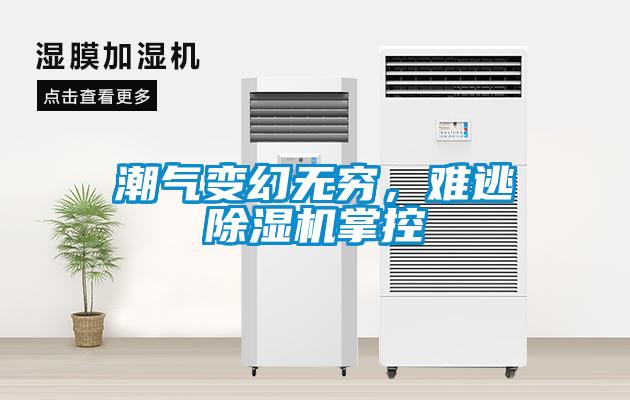巧用車間除濕機，解決食品廠車間蒸汽問題