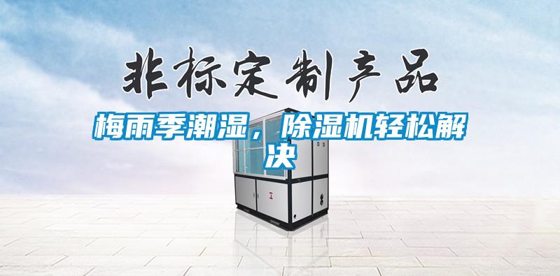 梅雨季潮濕，除濕機輕松解決