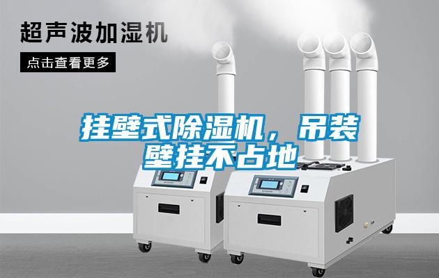 掛壁式除濕機(jī)，吊裝壁掛不占地