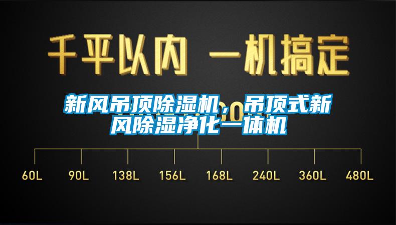 新風吊頂除濕機，吊頂式新風除濕凈化一體機