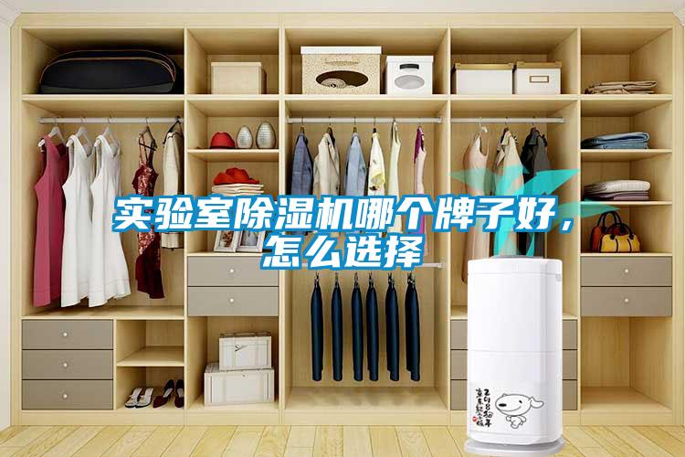 實驗室除濕機哪個牌子好，怎么選擇