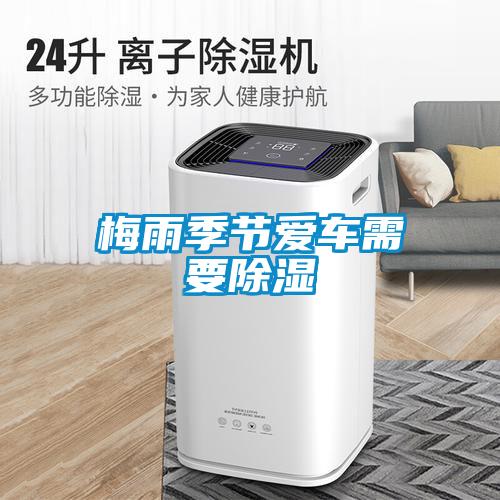 濕氣太重，大不如前！安詩曼除濕機(jī)還你健康好身體！