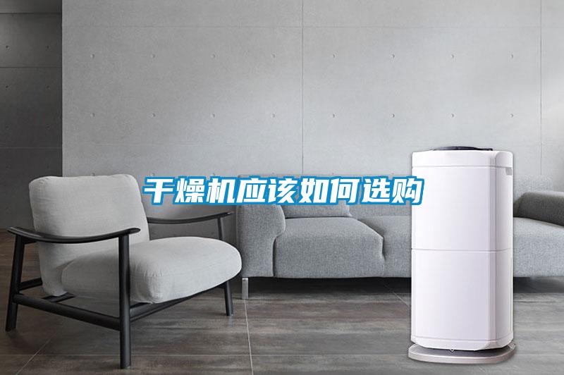年年除濕年年濕，如何快速除濕？