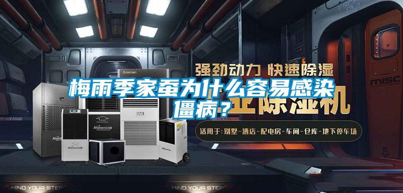 梅雨季家蠶為什么容易感染僵??？