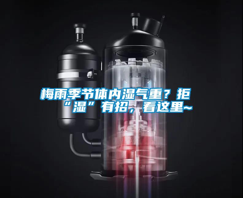梅雨季節(jié)體內(nèi)濕氣重？拒“濕”有招，看這里~