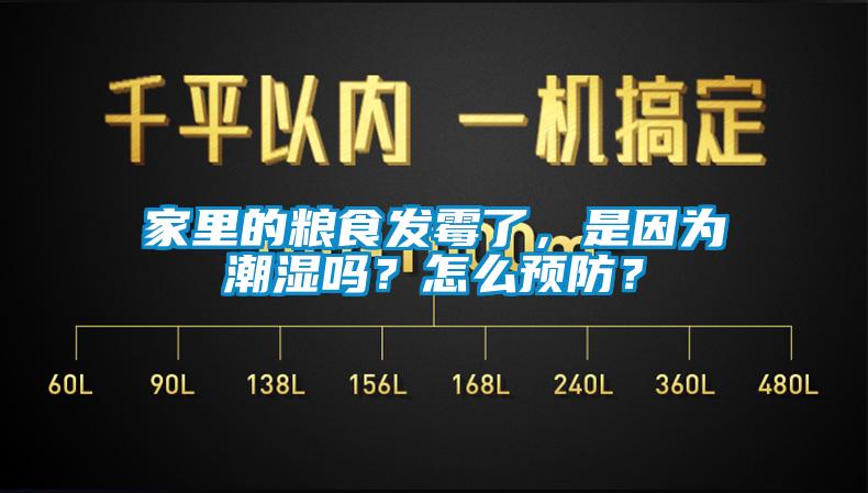 家里的糧食發(fā)霉了，是因?yàn)槌睗駟?？怎么預(yù)防？