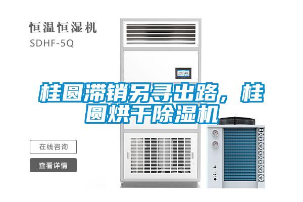 桂圓滯銷另尋出路，桂圓烘干除濕機
