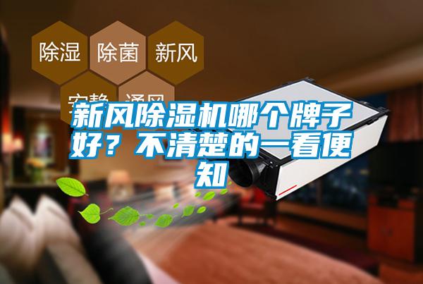 新風除濕機哪個牌子好？不清楚的一看便知