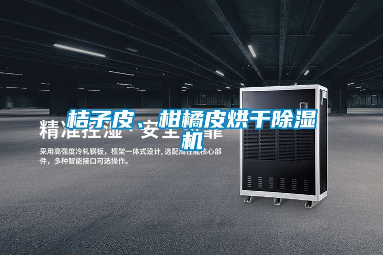 桔子皮、柑橘皮烘干除濕機(jī)