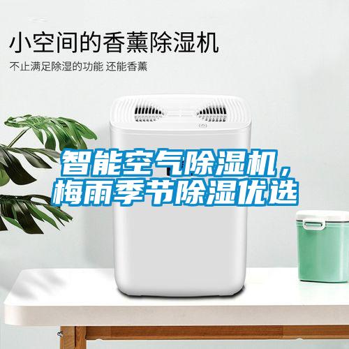 巴西菇、姬松茸烘干機(jī)-怎樣烘干色澤好且菇體褶片完整？