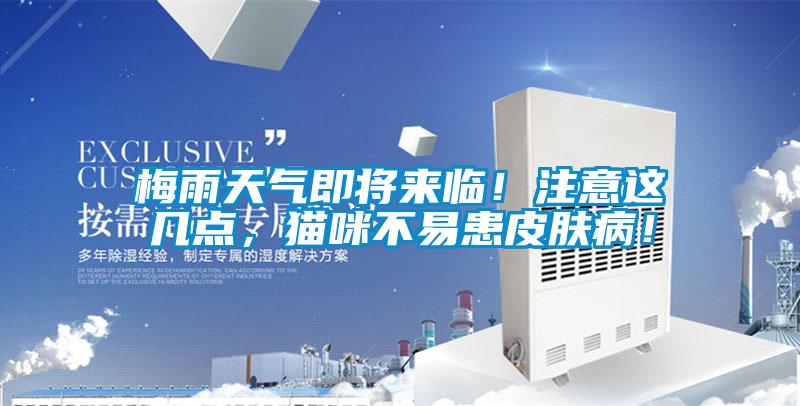 梅雨天氣即將來臨！注意這幾點(diǎn)，貓咪不易患皮膚?。?/></p>
						    <p style=