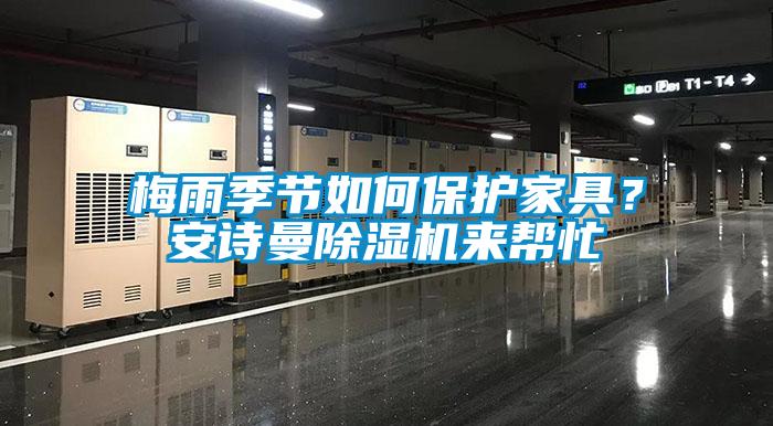梅雨季節(jié)如何保護(hù)家具？安詩曼除濕機(jī)來幫忙