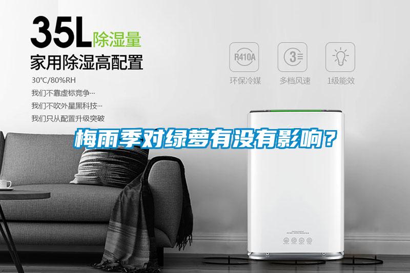 梅雨季對(duì)綠蘿有沒有影響？