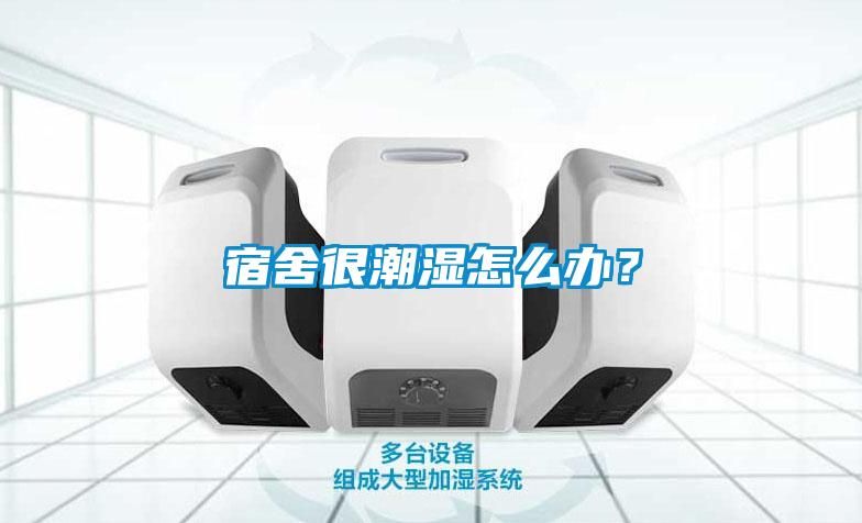 宿舍很潮濕怎么辦？