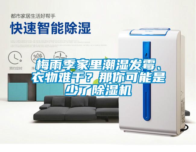 梅雨季家里潮濕發(fā)霉、衣物難干？那你可能是少了除濕機