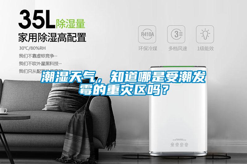 潮濕天氣，知道哪是受潮發(fā)霉的重災(zāi)區(qū)嗎？