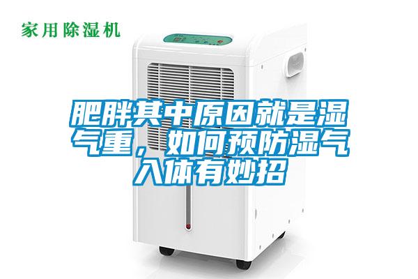 肥胖其中原因就是濕氣重，如何預(yù)防濕氣入體有妙招