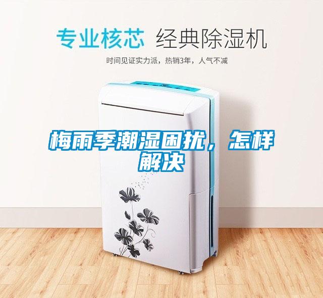 梅雨季潮濕困擾，怎樣解決
