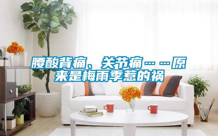 腰酸背痛、關(guān)節(jié)痛……原來(lái)是梅雨季惹的禍
