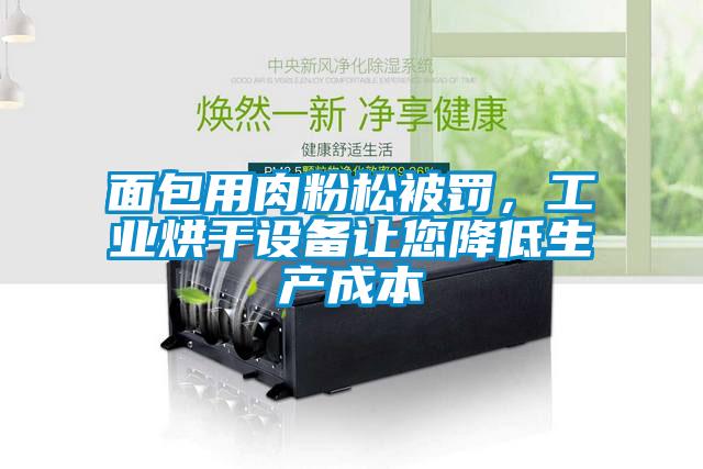 面包用肉粉松被罰，工業(yè)烘干設(shè)備讓您降低生產(chǎn)成本