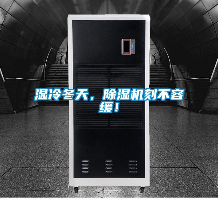 濕冷冬天，除濕機刻不容緩！