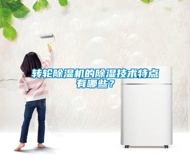 轉輪除濕機的除濕技術特點有哪些？
