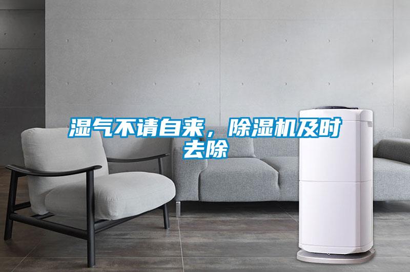 濕氣不請自來，除濕機及時去除