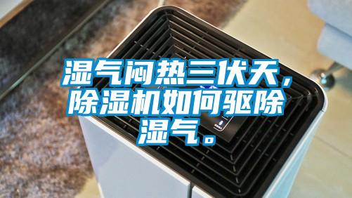 濕氣悶熱三伏天，除濕機(jī)如何驅(qū)除濕氣。