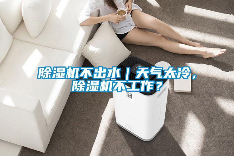 除濕機(jī)不出水｜天氣太冷，除濕機(jī)不工作？