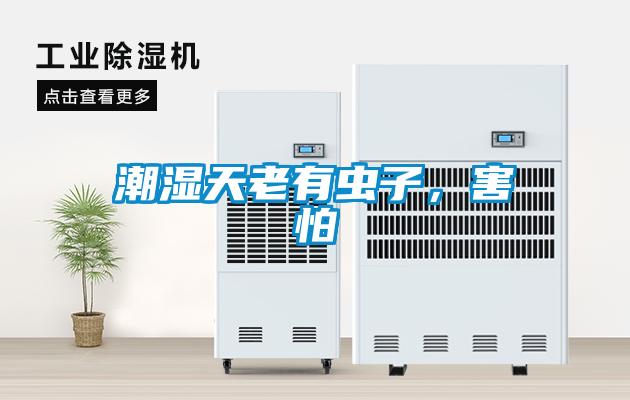 潮濕天老有蟲子，害怕