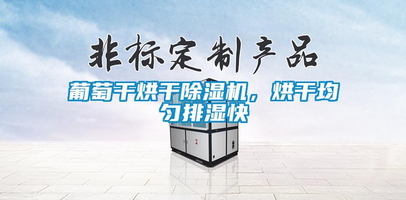 葡萄干烘干除濕機(jī)，烘干均勻排濕快