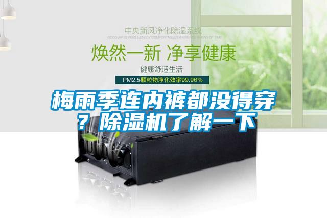梅雨季連內(nèi)褲都沒得穿？除濕機了解一下