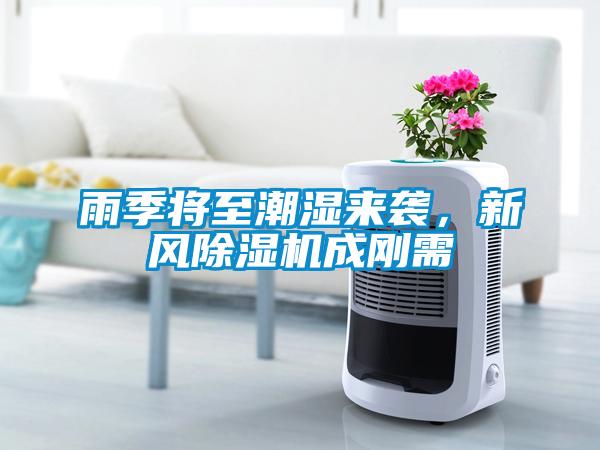 雨季將至潮濕來襲，新風除濕機成剛需