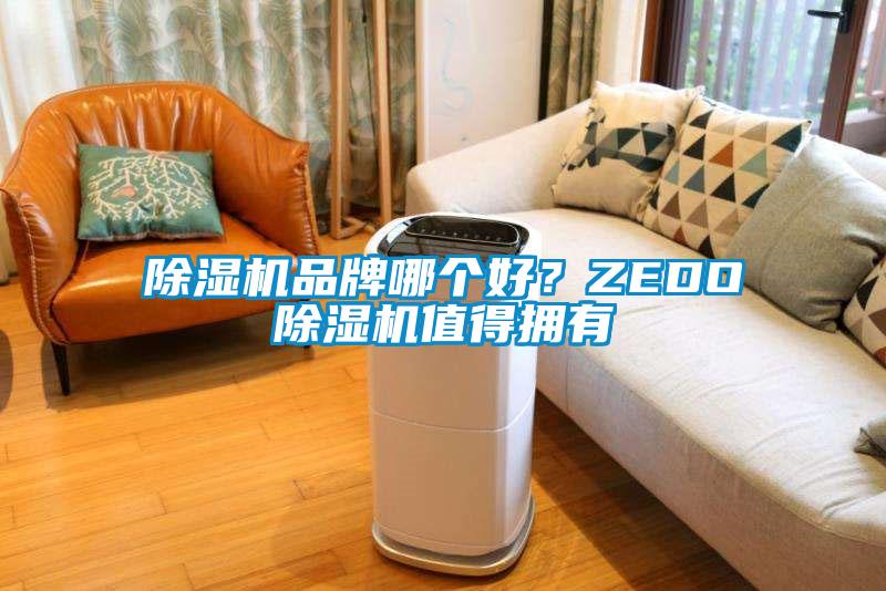 除濕機(jī)品牌哪個(gè)好？ZEDO除濕機(jī)值得擁有