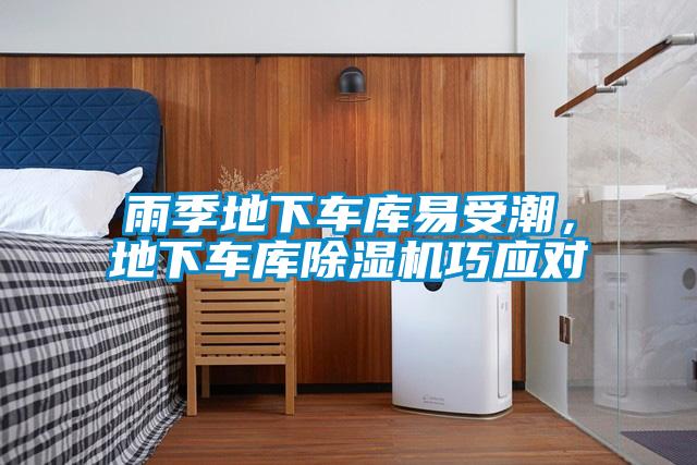 雨季地下車庫易受潮，地下車庫除濕機(jī)巧應(yīng)對(duì)