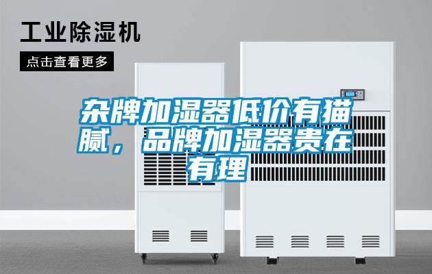 雜牌加濕器低價有貓膩，品牌加濕器貴在有理