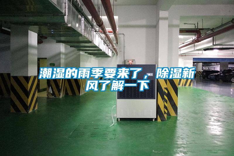 潮濕的雨季要來了，除濕新風了解一下