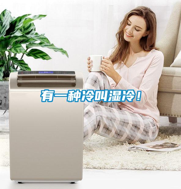 有一種冷叫濕冷！
