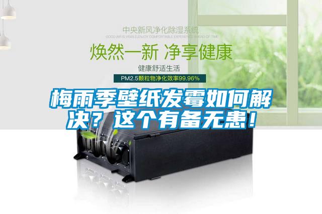 梅雨季壁紙發(fā)霉如何解決？這個(gè)有備無患！