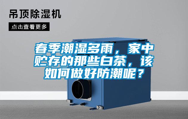 春季潮濕多雨，家中貯存的那些白茶，該如何做好防潮呢？