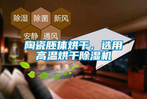陶瓷胚體烘干，選用高溫烘干除濕機