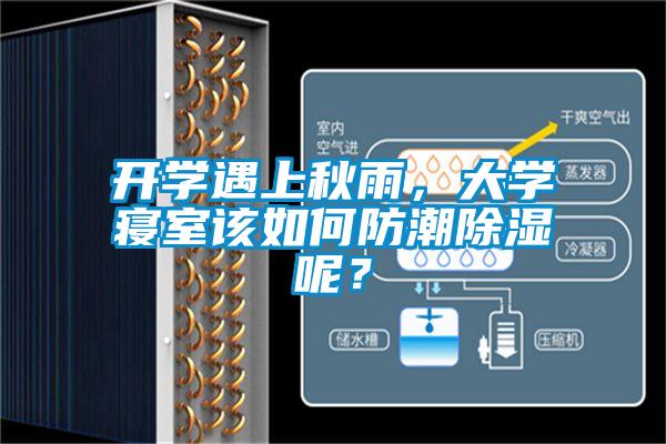 開學(xué)遇上秋雨，大學(xué)寢室該如何防潮除濕呢？