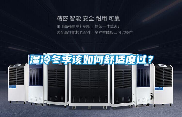 濕冷冬季該如何舒適度過(guò)？
