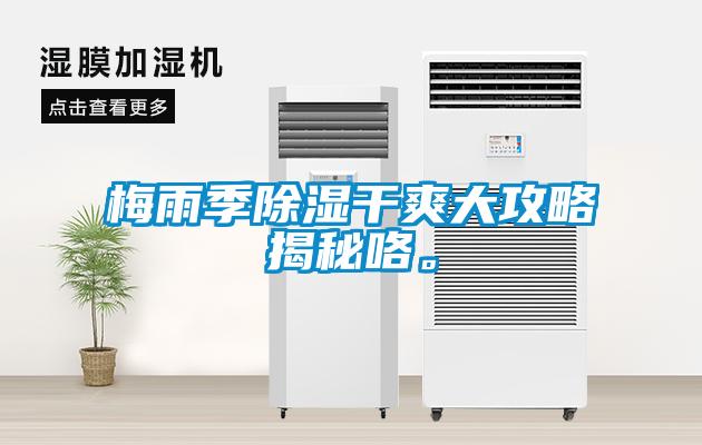 梅雨季除濕干爽大攻略揭秘咯。
