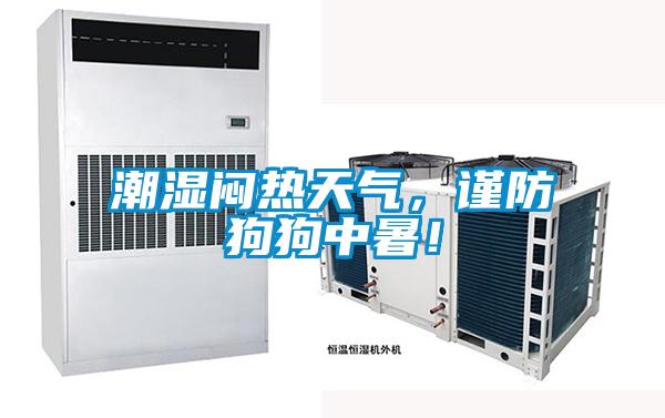 潮濕悶熱天氣，謹(jǐn)防狗狗中暑！