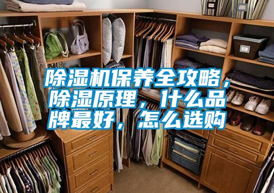 除濕機保養(yǎng)全攻略，除濕原理，什么品牌最好，怎么選購