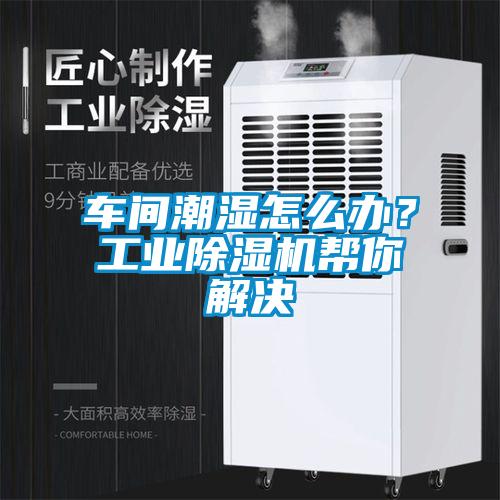 車間潮濕怎么辦？工業(yè)除濕機(jī)幫你解決
